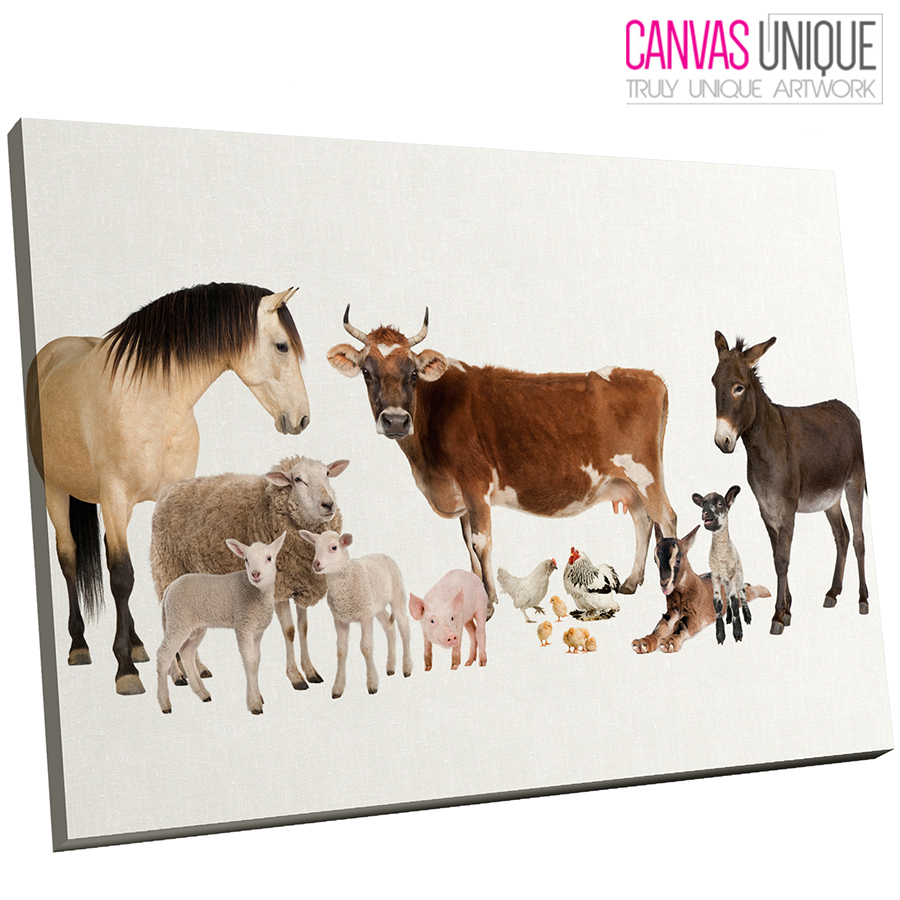 A126 White Farm Animals Collage Animal Canvas Wall Art Framed Picture 