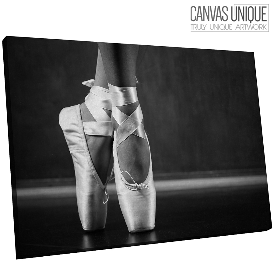 pointe shoes black and white