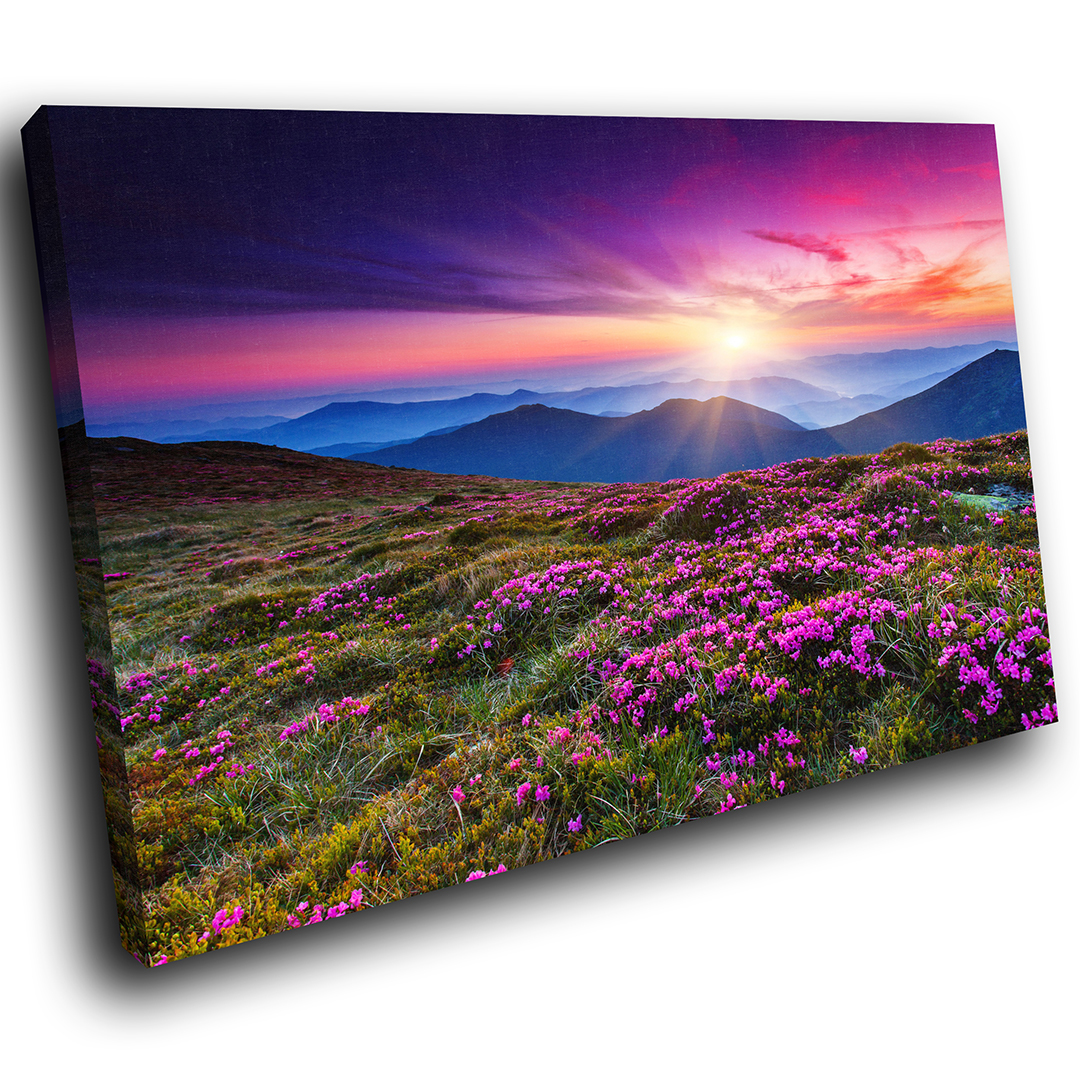 SC366 Stunning Flower Meadow Scenic Wall Art Picture Large Canvas Print