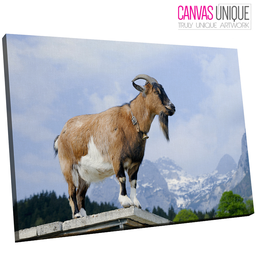 A173 brown mountain goat landscape Animal Canvas Wall Art Framed ...