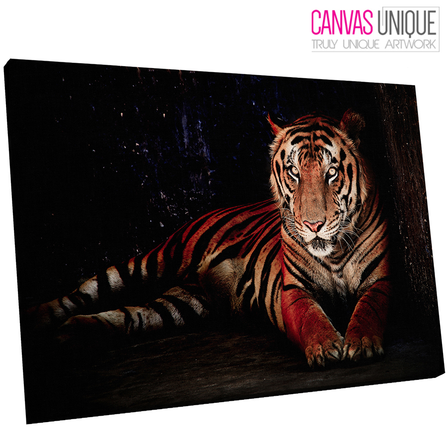 A611 Black Forest Bengal Tiger Glare Animal Canvas Wall Art Framed ...