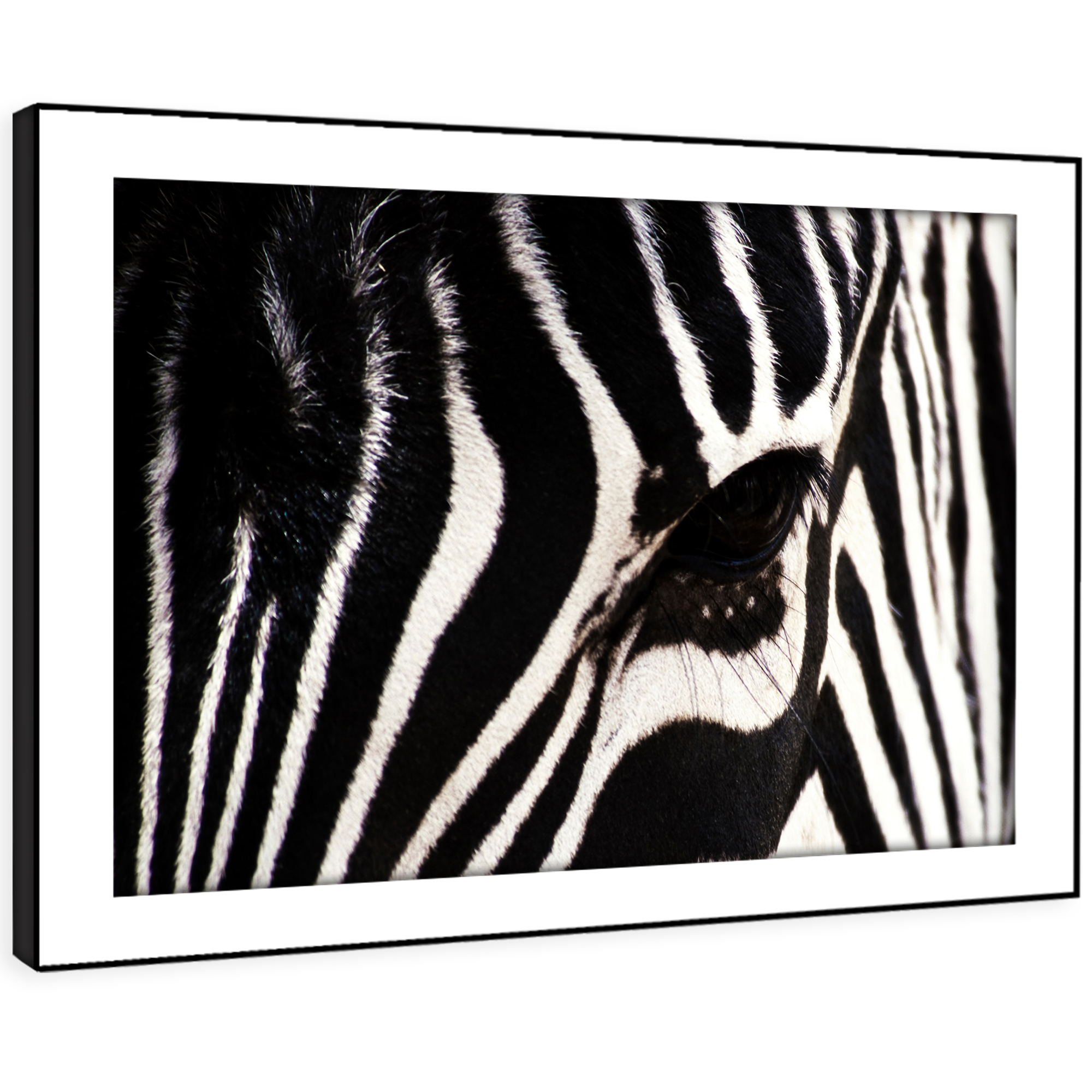 A058 Black White Zebra Stripes Funky Animal Framed Wall Art Large Picture Prints Ebay