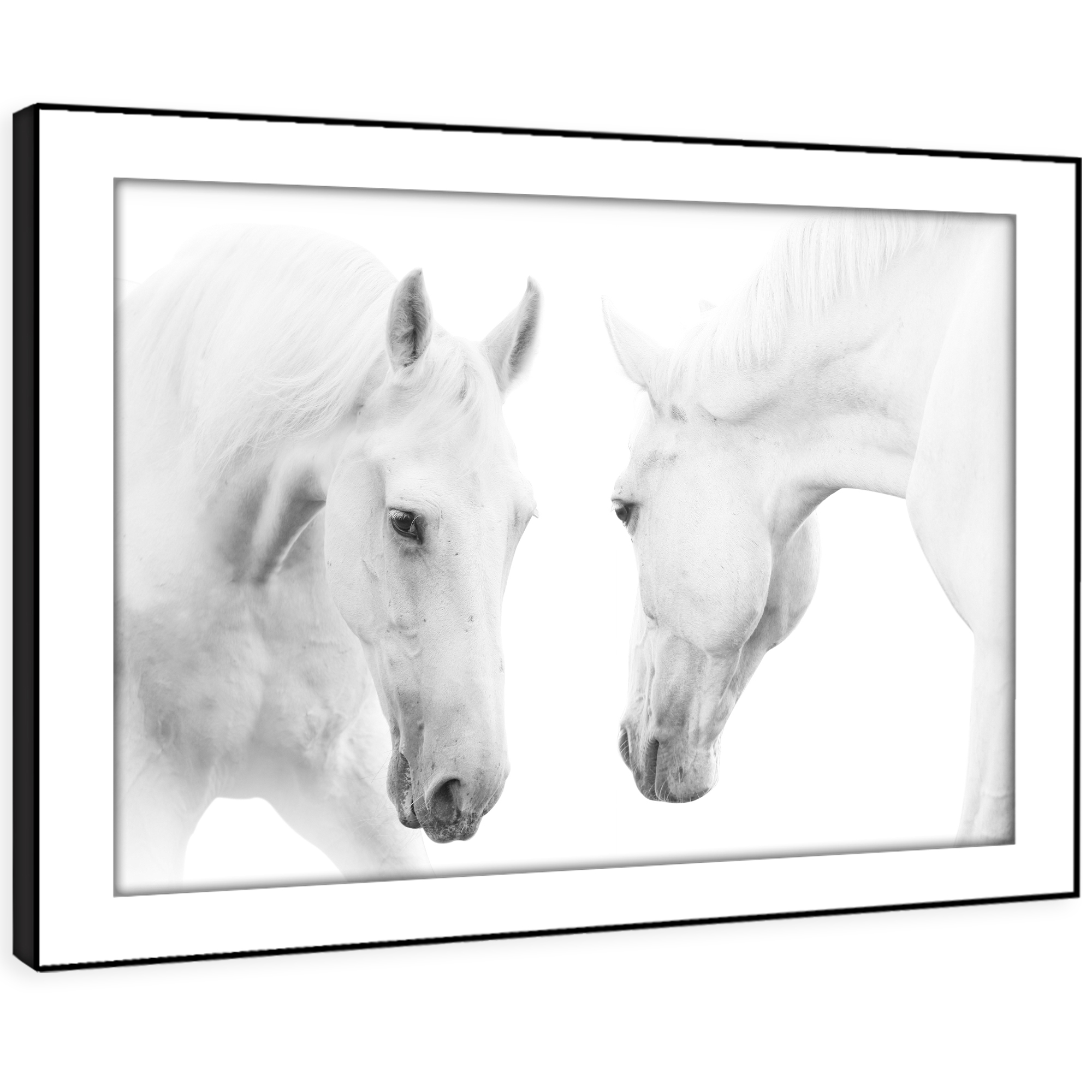 A346 White Horse Grey Black Funky Animal Framed Wall Art Large