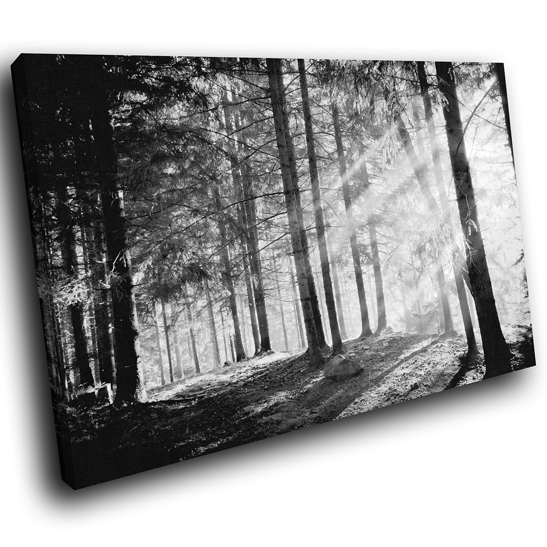 Black White Forest Retro Scenic Canvas Wall Art Large Picture Prints | eBay