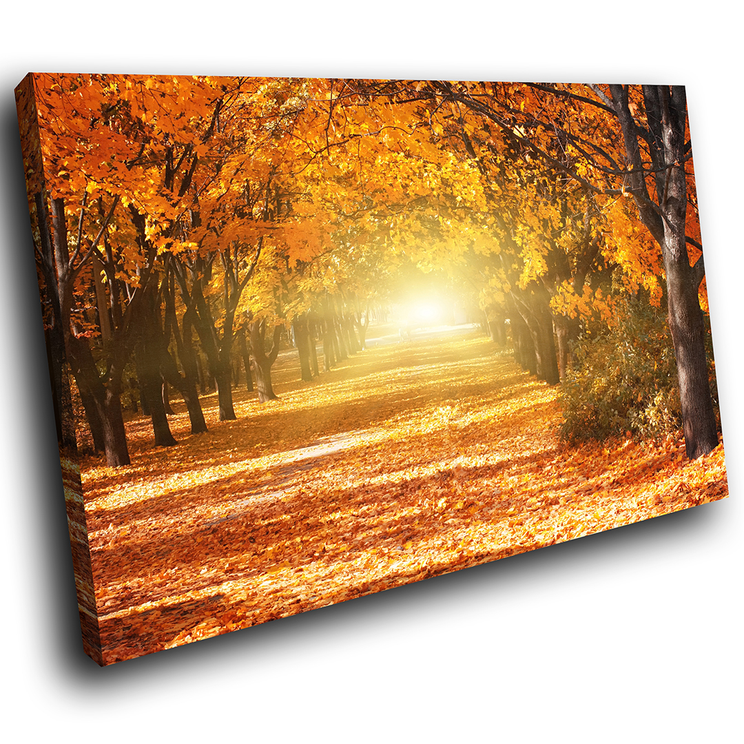 Orange Yellow Autumn Trees Scenic Canvas Wall Art Large Picture Prints ...